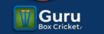    GURU Box Cricket